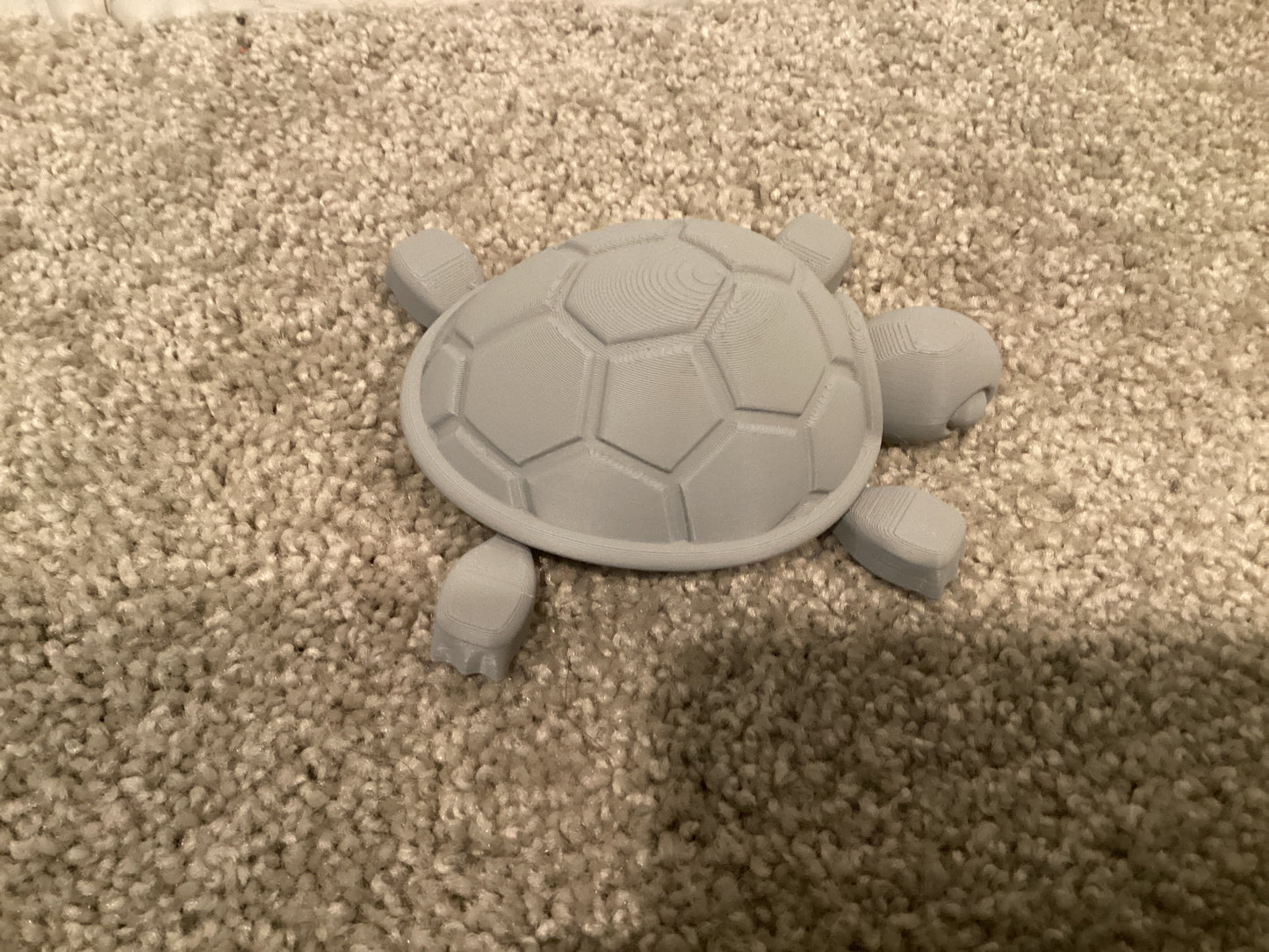 Big turtle